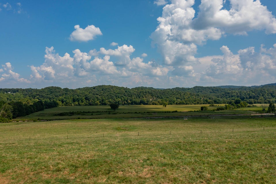 Photo #4: 463 Williams Road