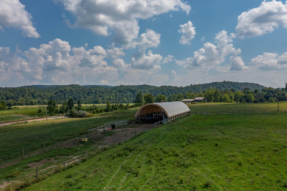 Photo #5: 463 Williams Road