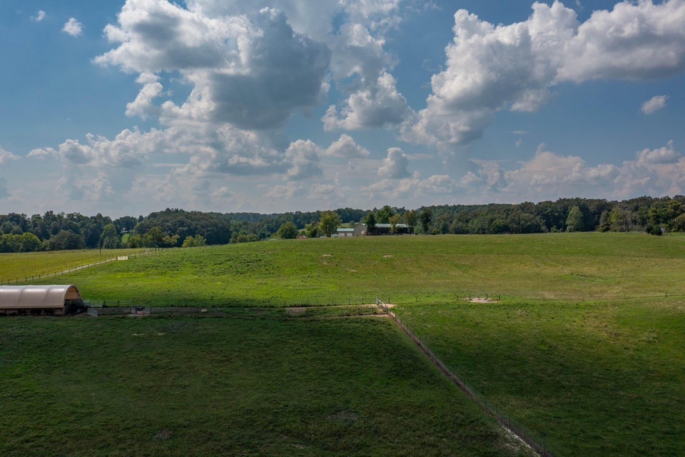 Photo #7: 463 Williams Road
