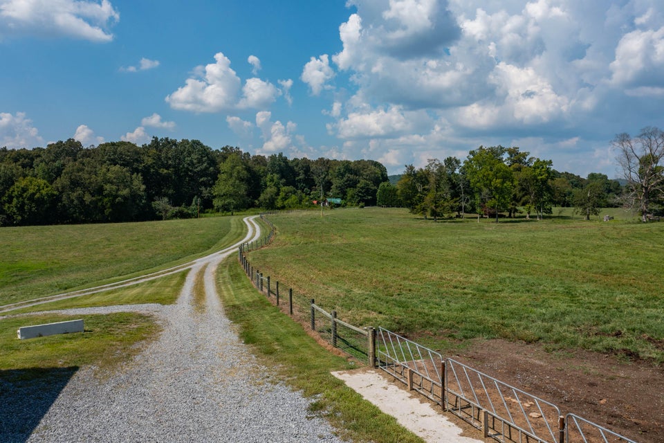Photo #18: 463 Williams Road
