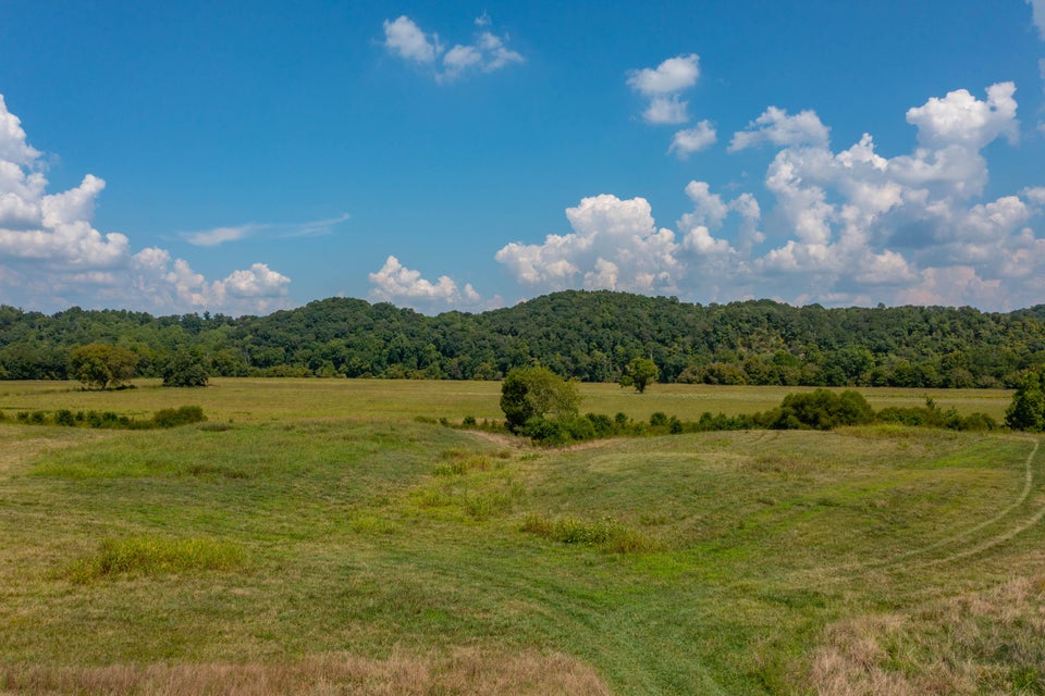 Photo #19: 463 Williams Road