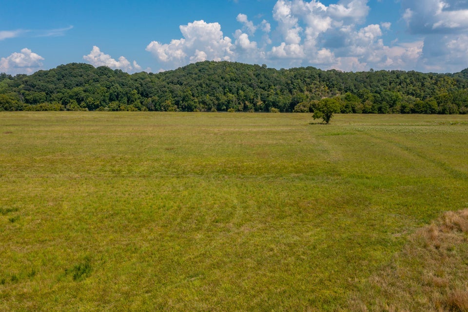 Photo #21: 463 Williams Road