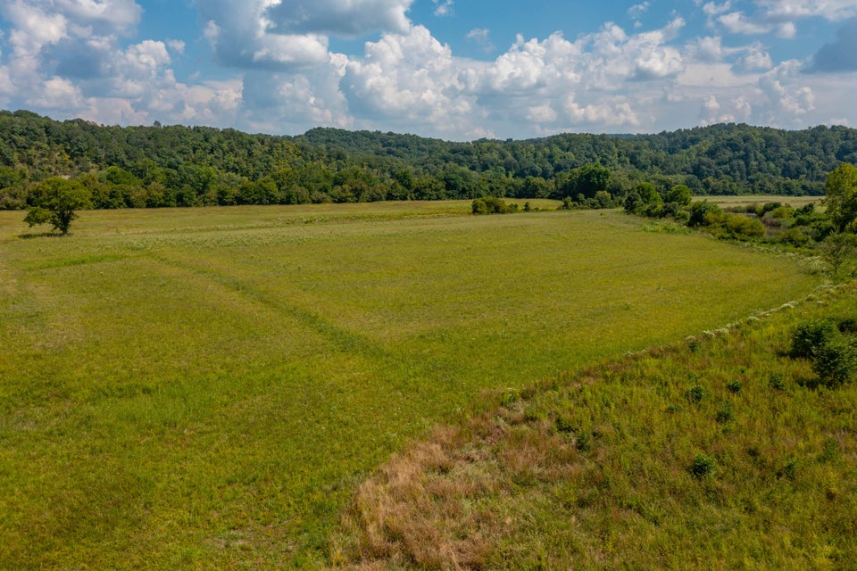 Photo #22: 463 Williams Road