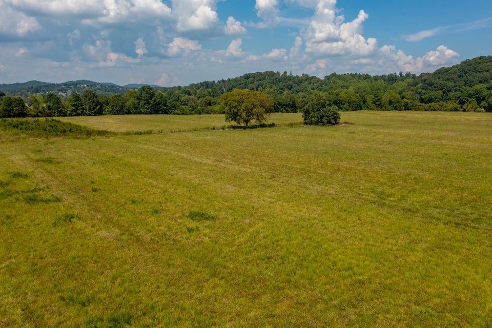 Photo #23: 463 Williams Road