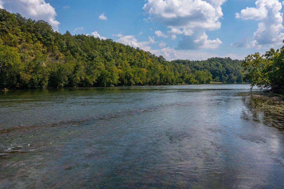 Photo #30: 463 Williams Road