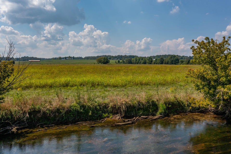 Photo #31: 463 Williams Road