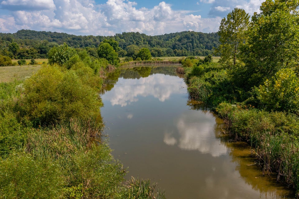 Photo #35: 463 Williams Road