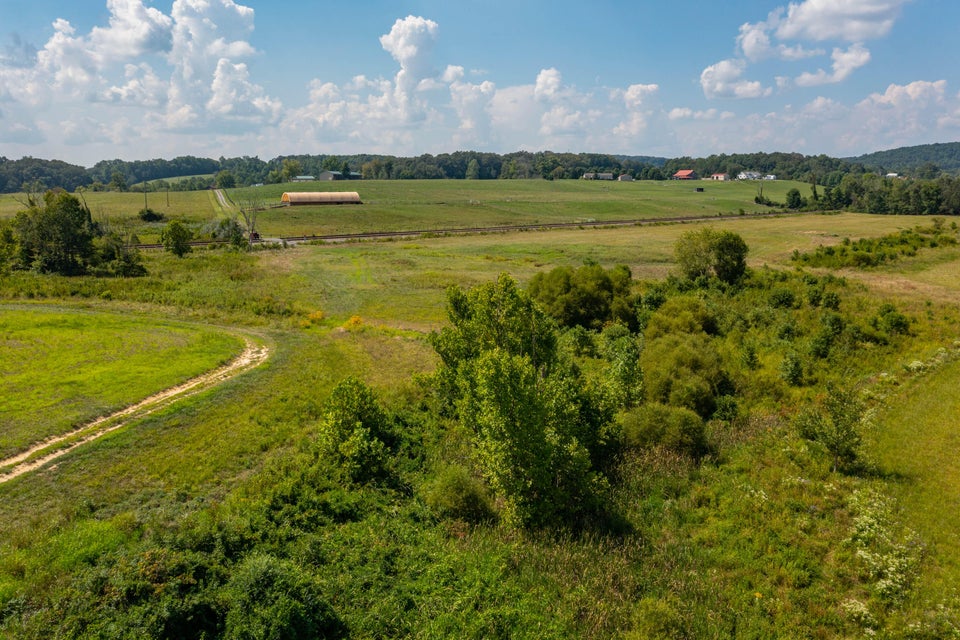 Photo #37: 463 Williams Road