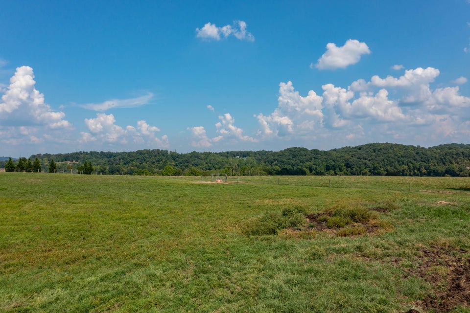 Photo #38: 463 Williams Road