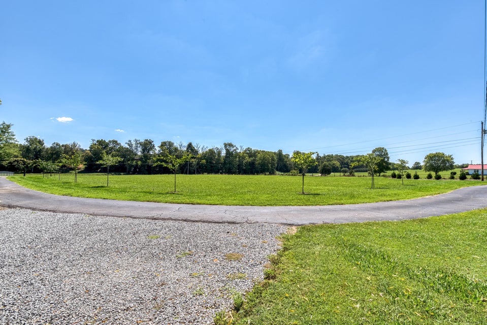 Photo #12: 1847 Highway 66