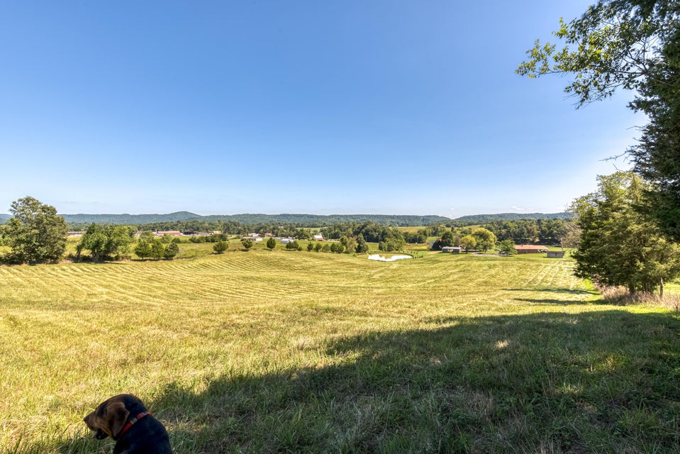 Photo #36: 1847 Highway 66