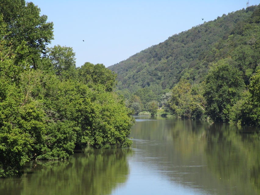 Photo #6: 00 Horton Ford Road