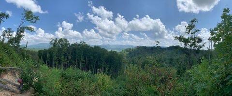 Photo #6: Tbd Eastridge Road