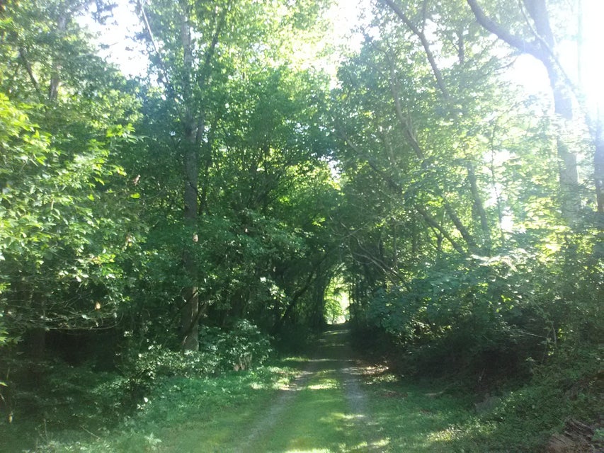 Photo #3: 0 Nickesville Hwy