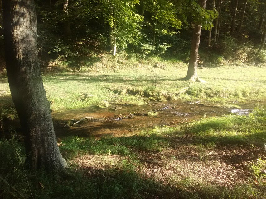 Photo #6: 0 Nickesville Hwy