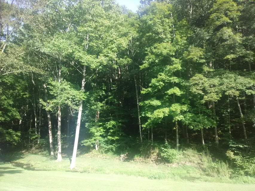 Photo #8: 0 Nickesville Hwy