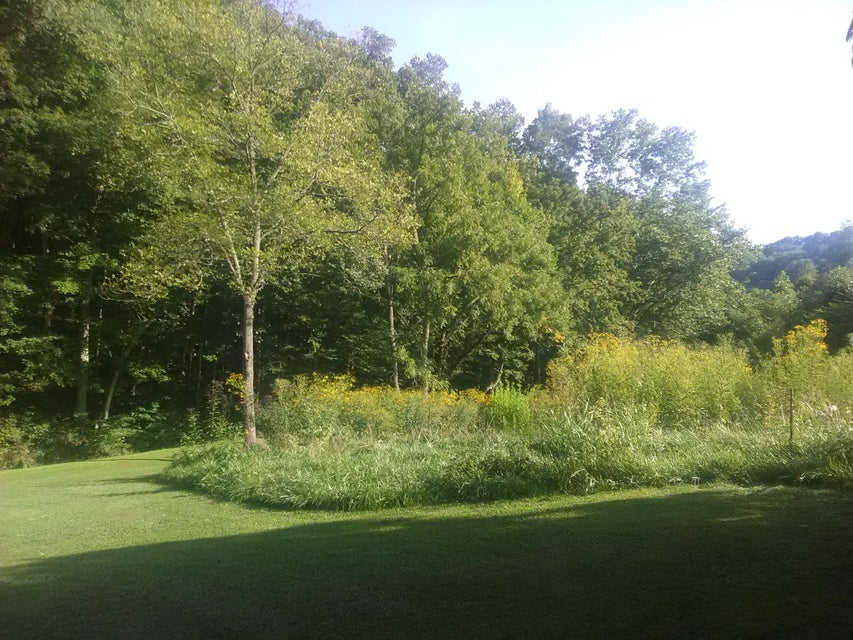 Photo #9: 0 Nickesville Hwy