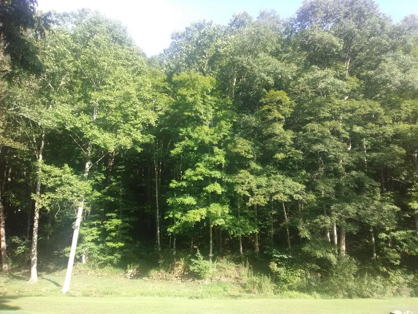 Photo #10: 0 Nickesville Hwy