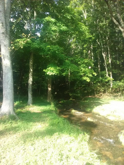 Photo #14: 0 Nickesville Hwy