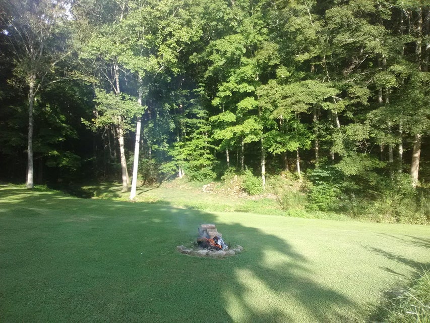 Photo #16: 0 Nickesville Hwy