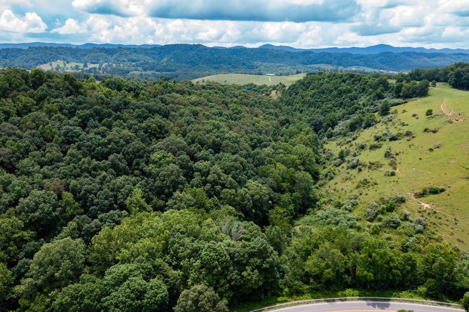 Photo #22: 0 Nickesville Hwy