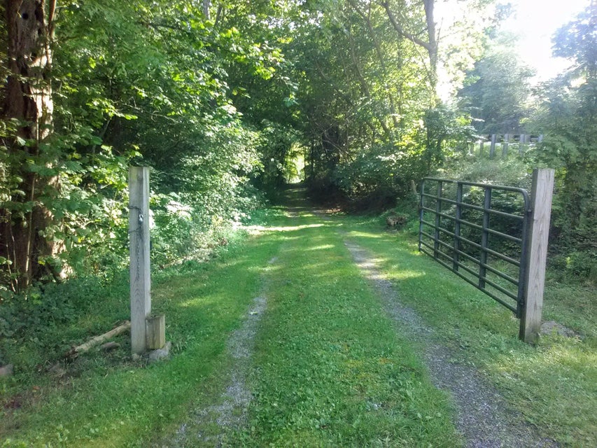 Photo #37: 0 Nickesville Hwy