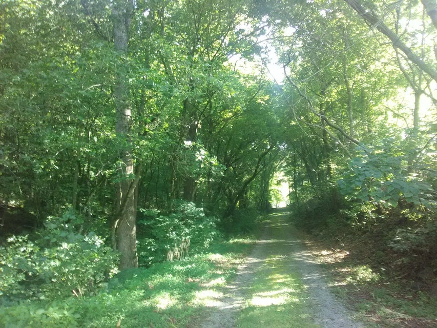 Photo #38: 0 Nickesville Hwy