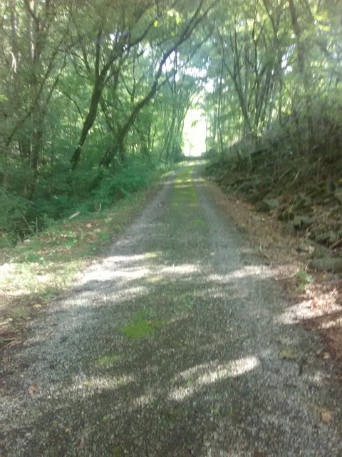 Photo #39: 0 Nickesville Hwy