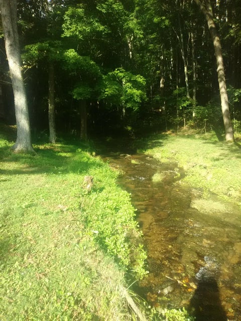 Photo #41: 0 Nickesville Hwy