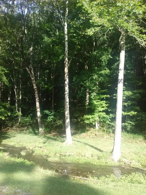 Photo #43: 0 Nickesville Hwy