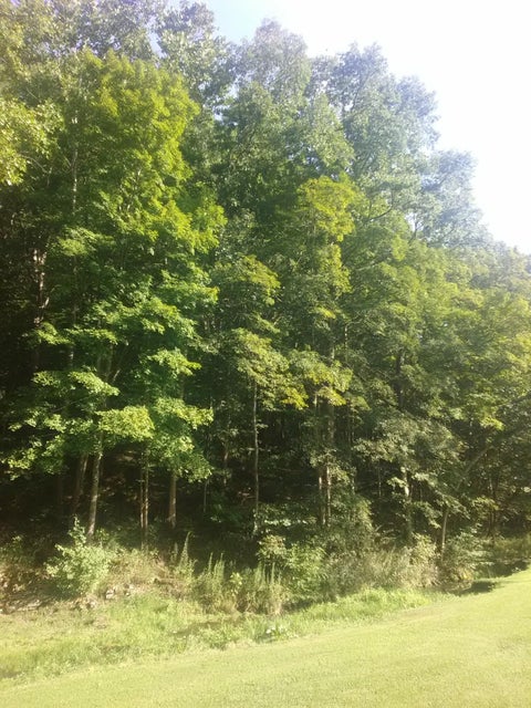 Photo #44: 0 Nickesville Hwy