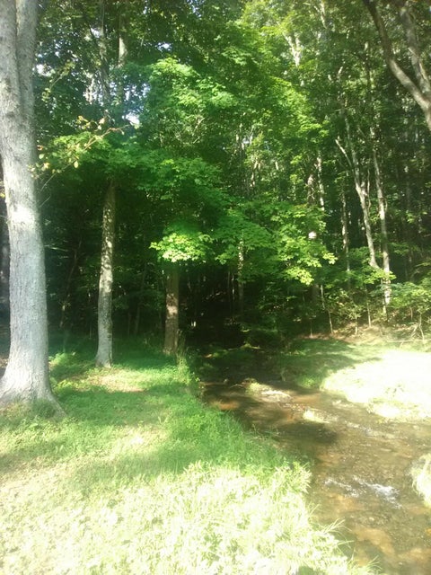 Photo #45: 0 Nickesville Hwy