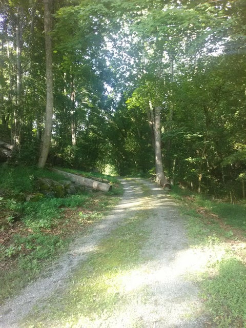 Photo #46: 0 Nickesville Hwy