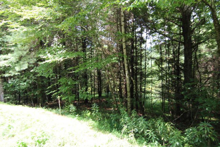 Photo #7: 000 Laurelwood Drive, Lot #32