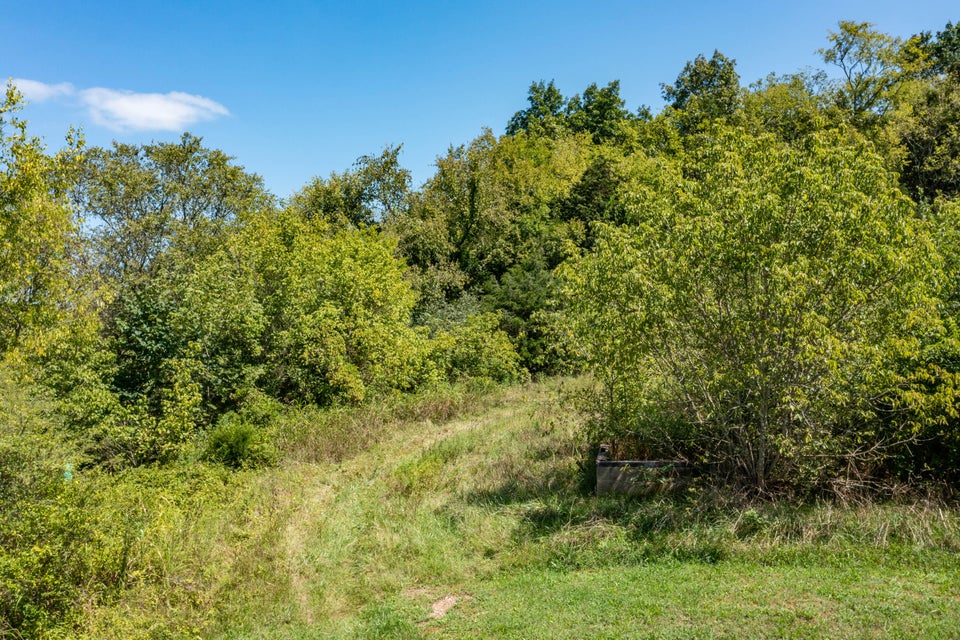 Photo #27: 715 Bewley Road