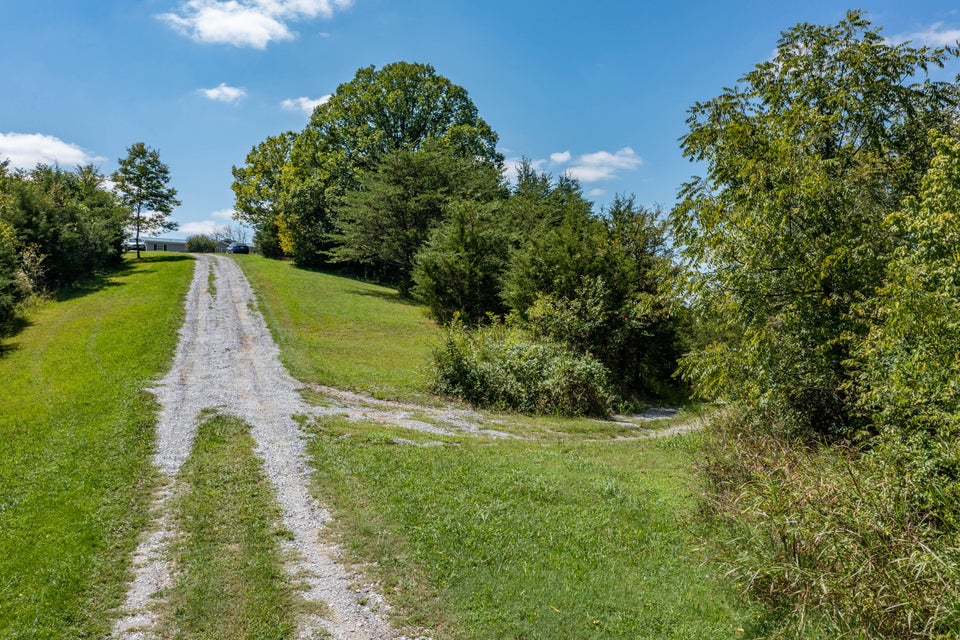 Photo #29: 715 Bewley Road