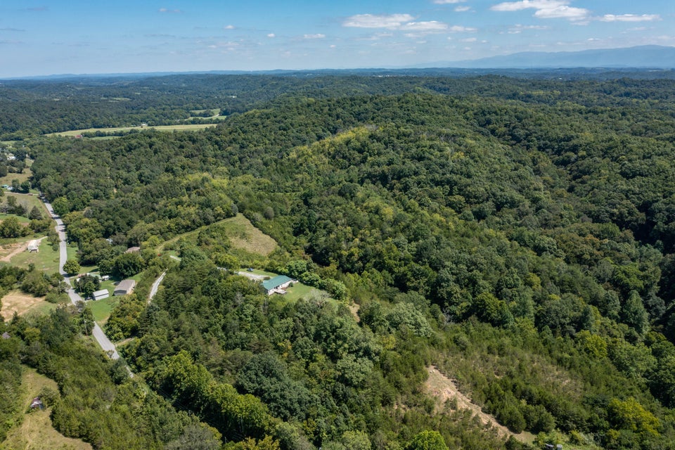 Photo #43: 715 Bewley Road