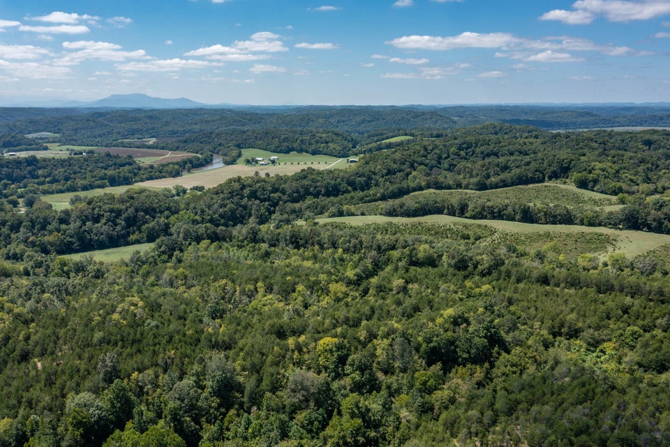 Photo #46: 715 Bewley Road