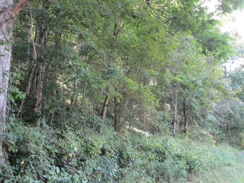 Photo #7: 00 Horton Ford Road