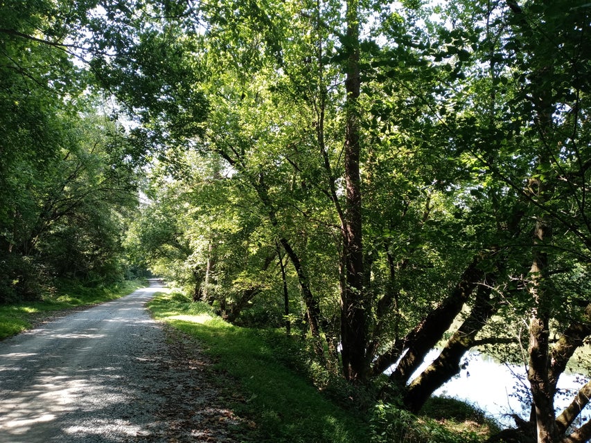Photo #23: 00 Horton Ford Road