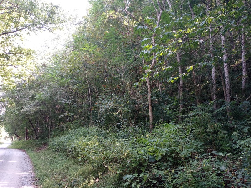 Photo #24: 00 Horton Ford Road