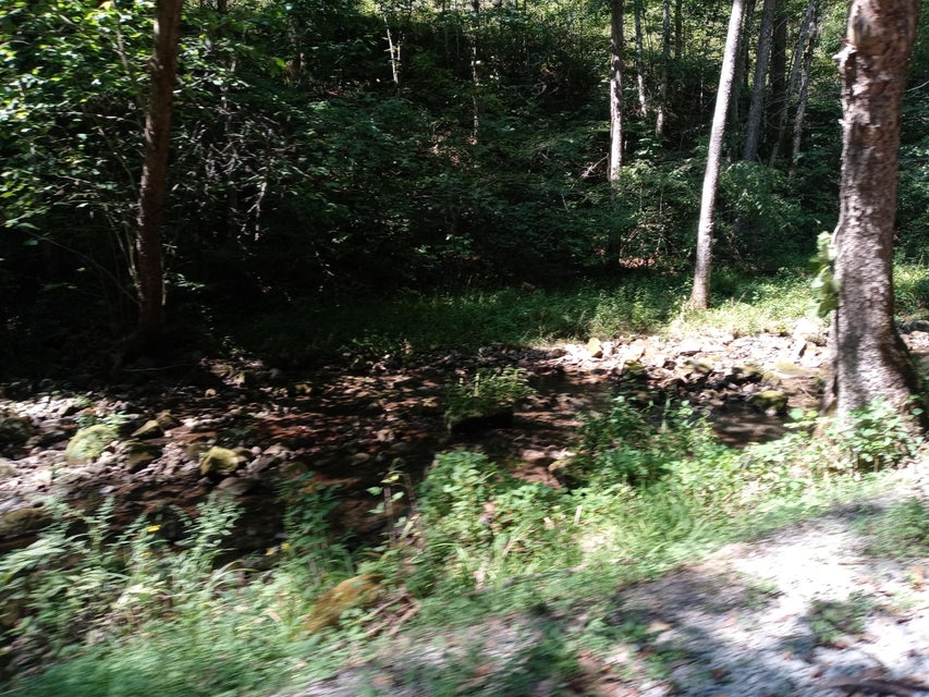 Photo #25: 00 Horton Ford Road