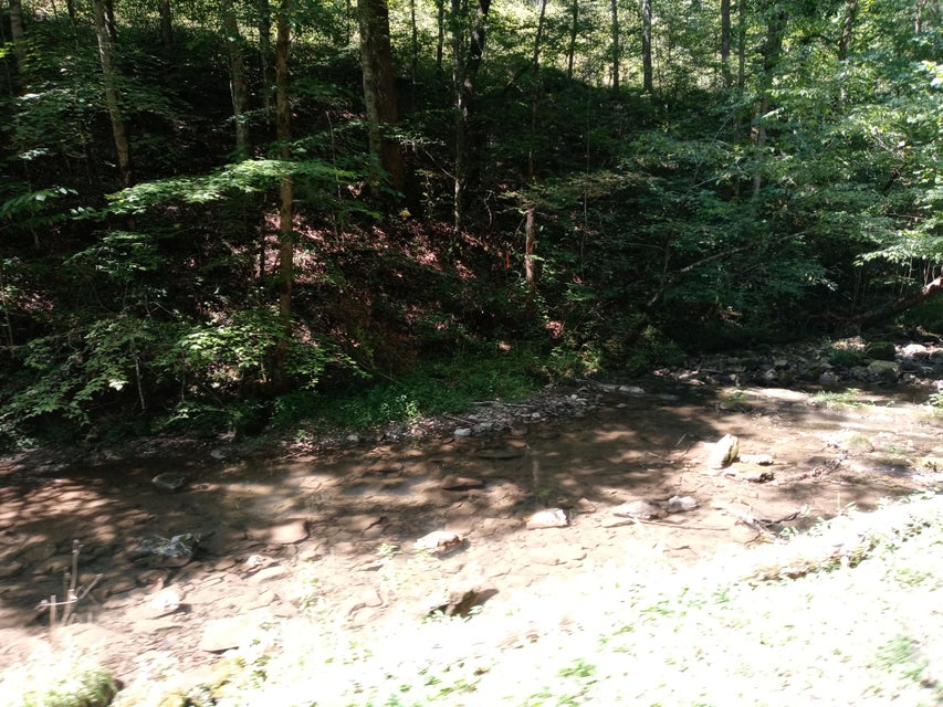 Photo #26: 00 Horton Ford Road