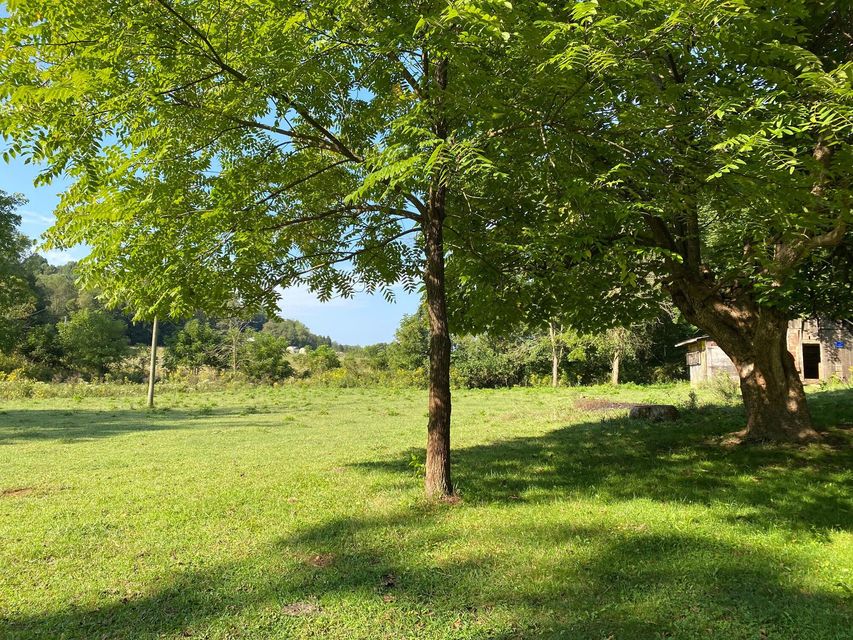 Photo #3: 16199 Rust Hollow Road