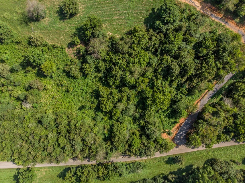 Photo #8: 1875 Good Hope Road