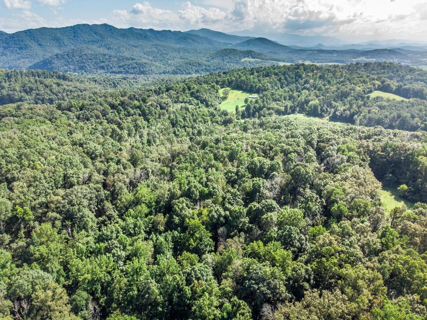Photo #16: 1875 Good Hope Road