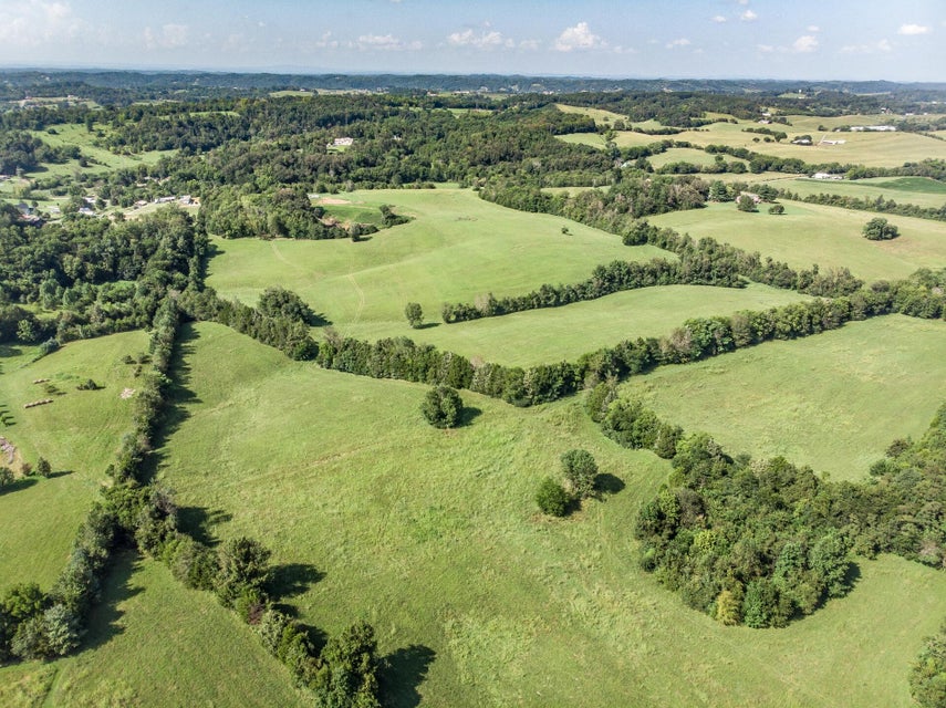 Photo #17: 1875 Good Hope Road