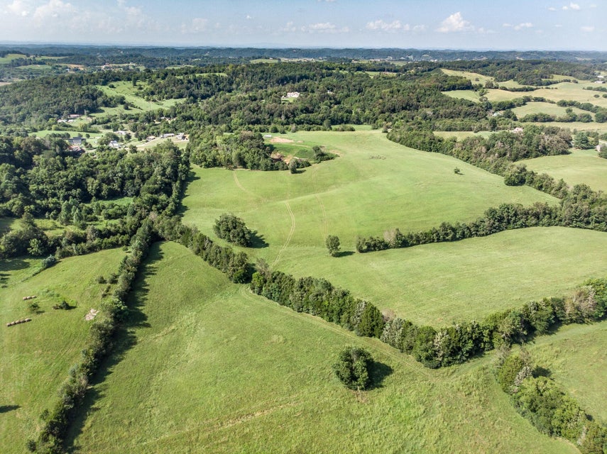 Photo #19: 1875 Good Hope Road