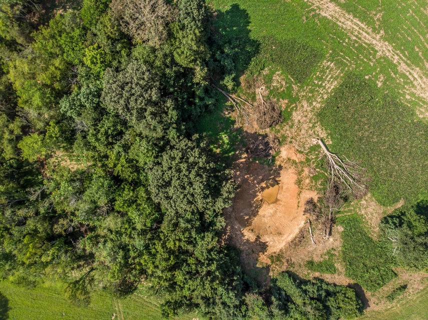 Photo #23: 1875 Good Hope Road