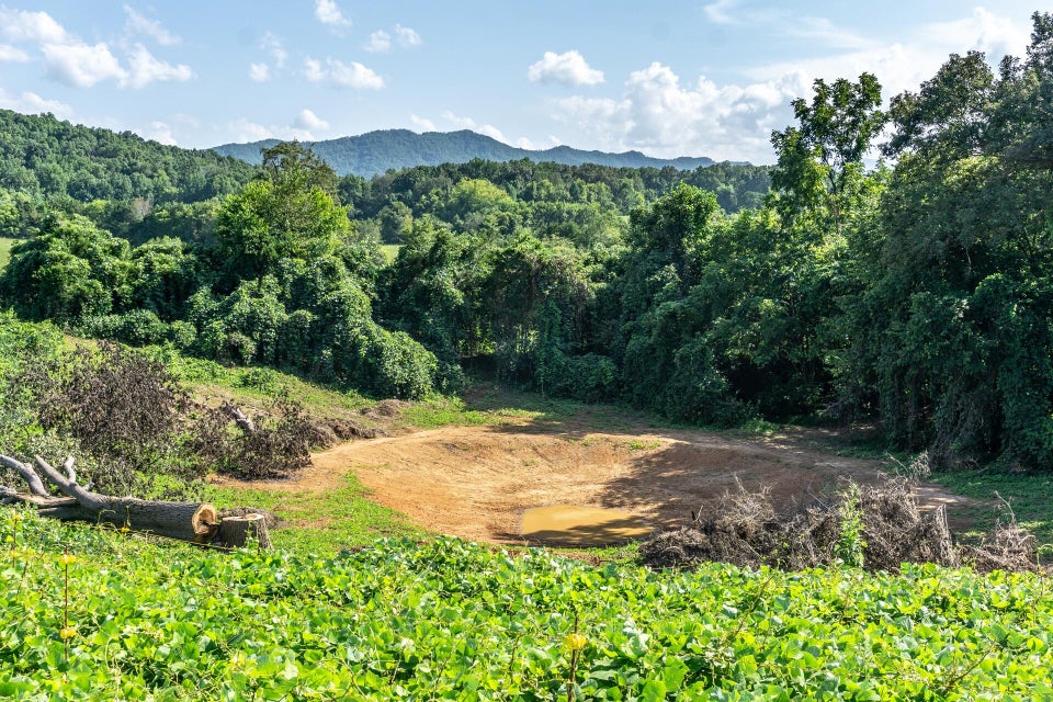 Photo #37: 1875 Good Hope Road